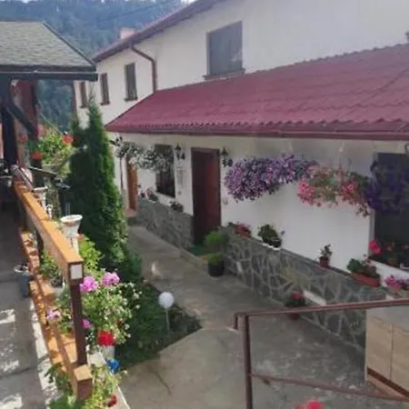 Homestay Casa Royce