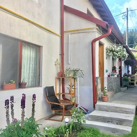 Homestay Casa Royce *